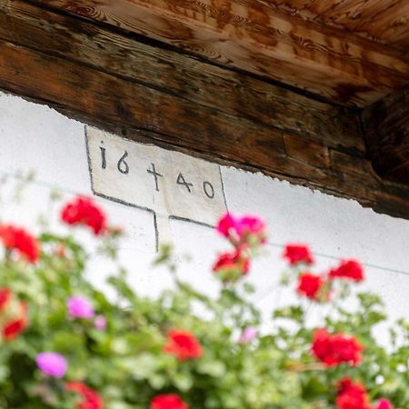Haspingerhof Apartment Santa Maddalena in Casies Ngoại thất bức ảnh